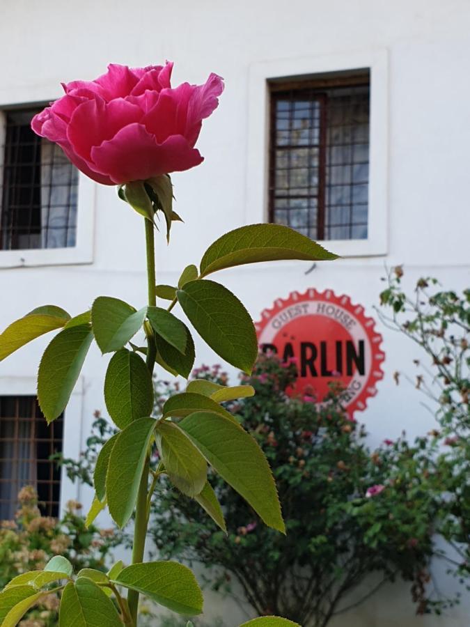Barlin Grill&camping Guest house